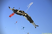 32 FESTIVAL CERVIA 2012 - 065